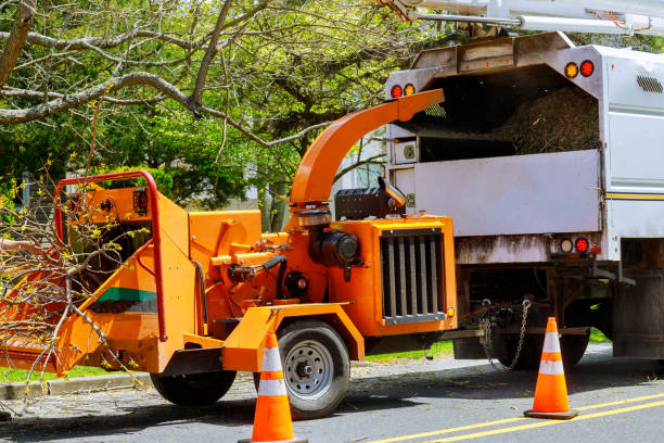 Best Commercial Tree Services  in Valley Hill, NC